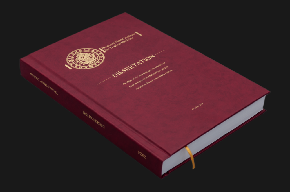 Weinrote Dissertation mit goldener Prägung – gebunden für die Universität Hamburg